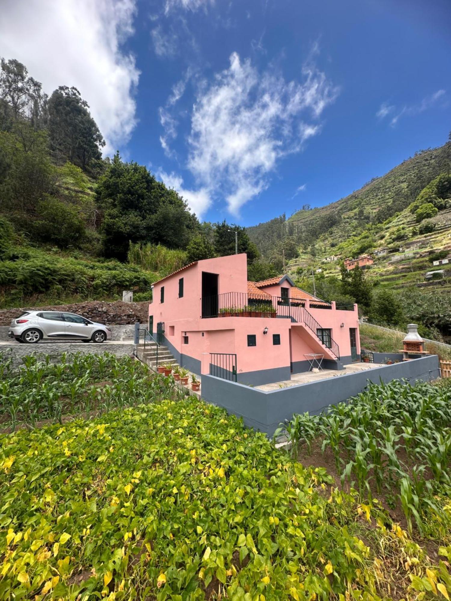 Casa Rosa Villa Ribeira Brava Dış mekan fotoğraf