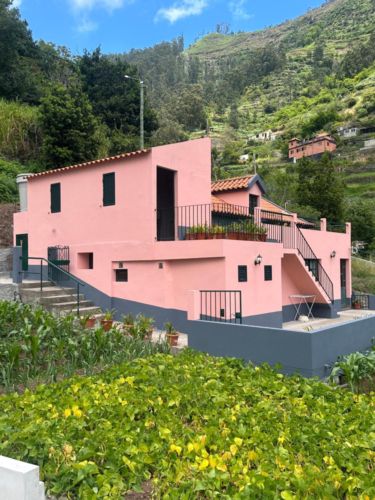 Casa Rosa Villa Ribeira Brava Dış mekan fotoğraf
