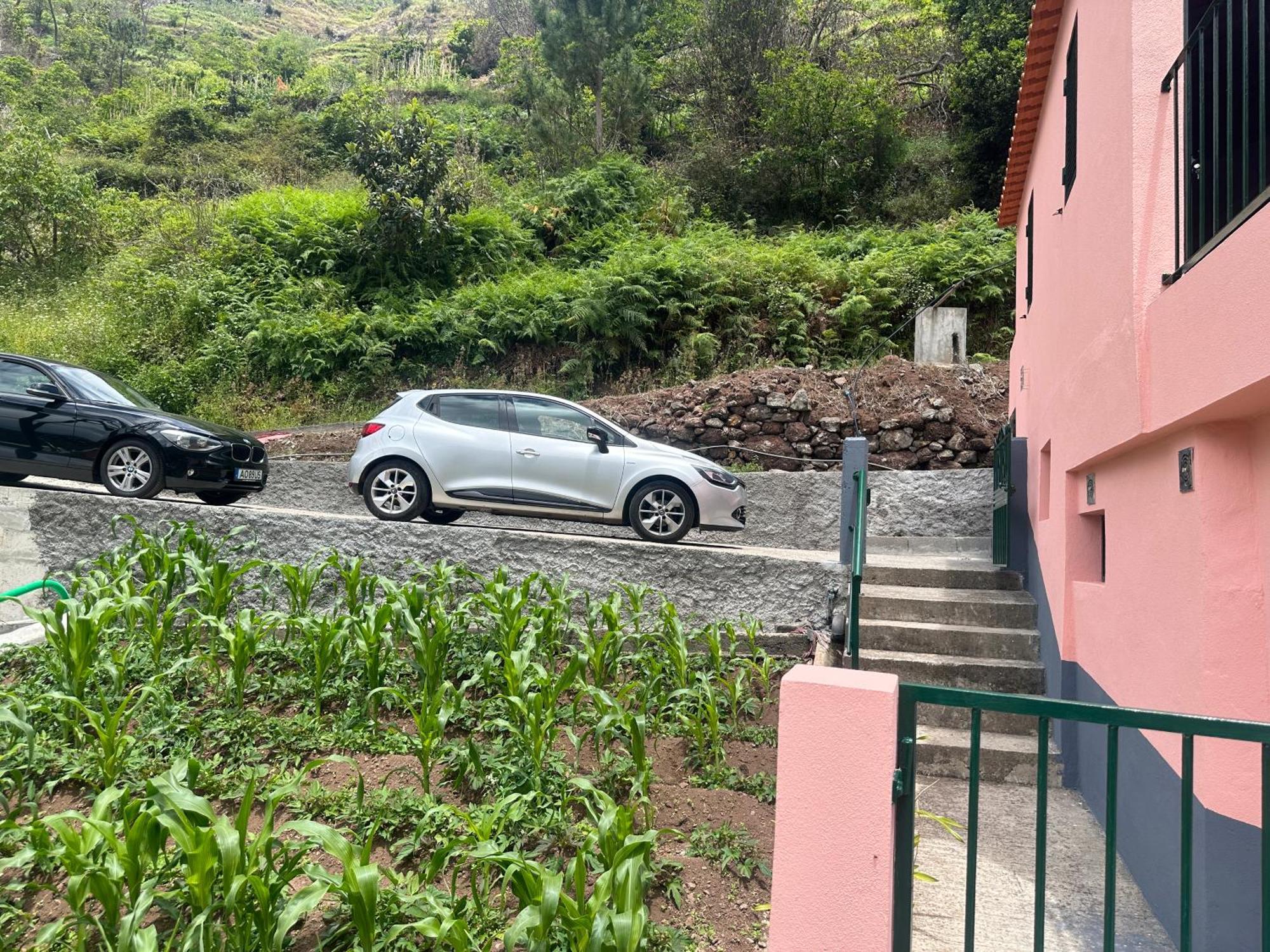 Casa Rosa Villa Ribeira Brava Dış mekan fotoğraf