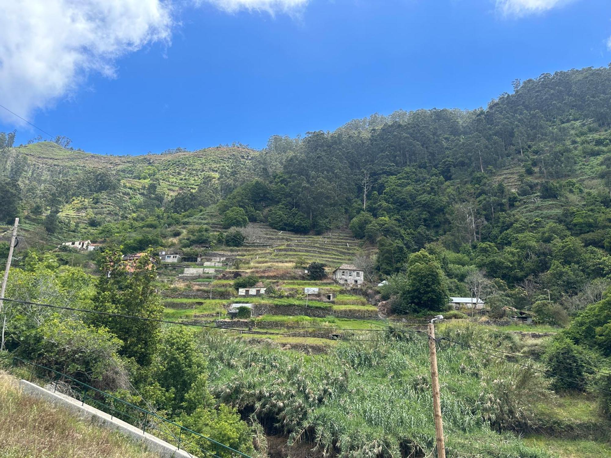 Casa Rosa Villa Ribeira Brava Dış mekan fotoğraf