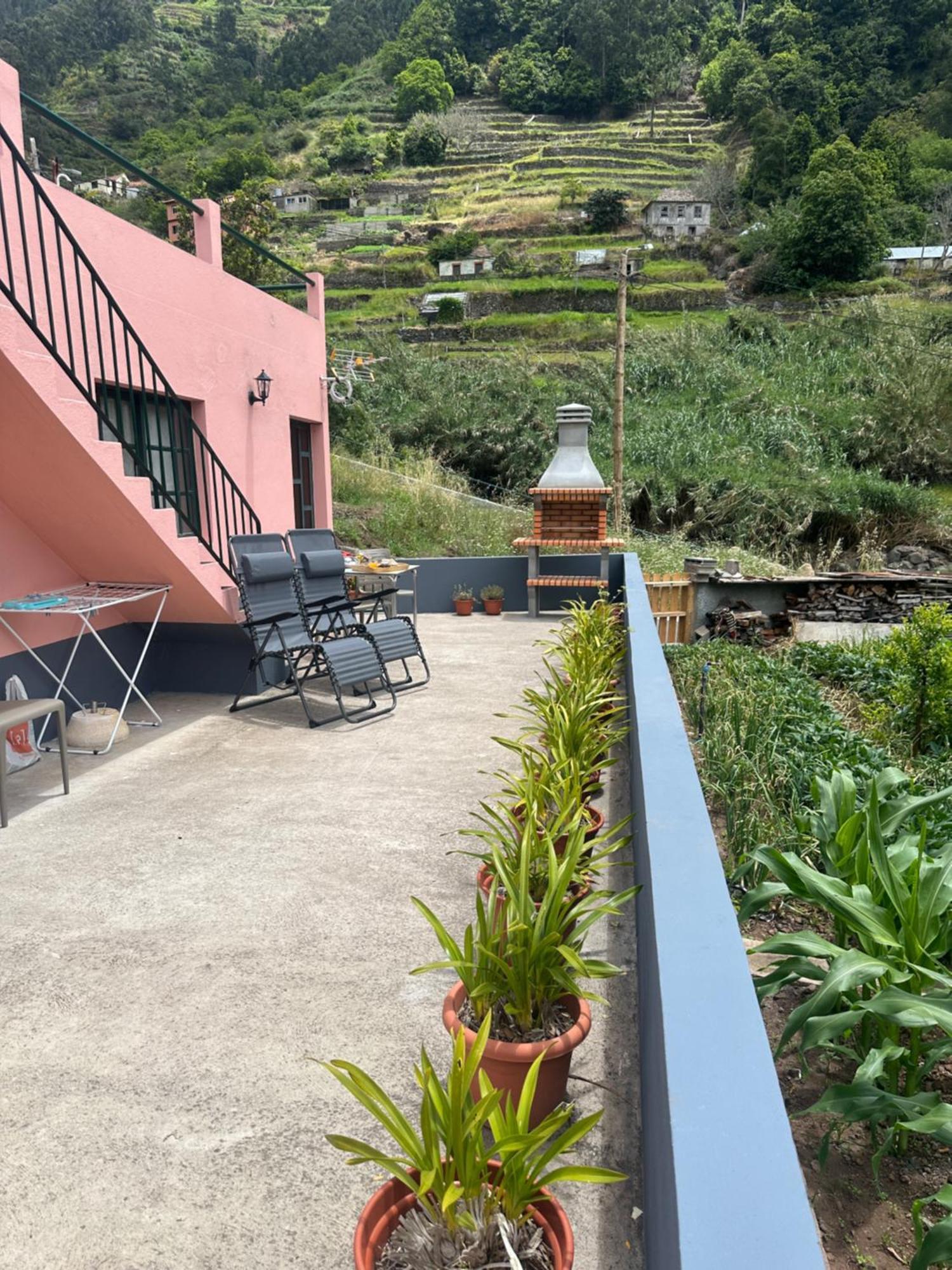 Casa Rosa Villa Ribeira Brava Dış mekan fotoğraf